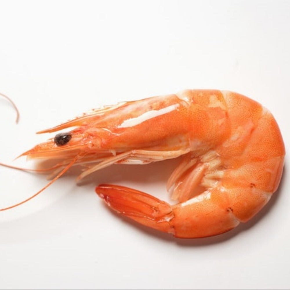 Whole Large Shrimp – Meaty, Fresh & Perfect for Home Cooking