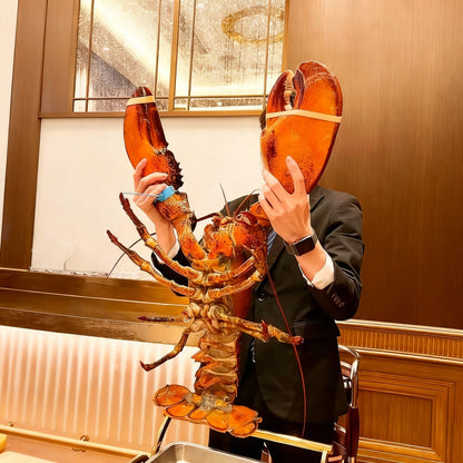 Whole Cooked Boston Lobster | 8 lb Giant Atlantic Lobster | Fully Cooked & Flash Frozen