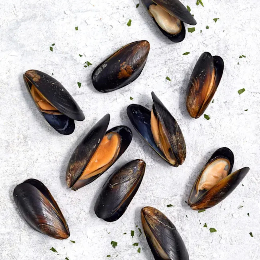 Premium Half Shell Mussels – Raw Frozen Foodservice Ingredient