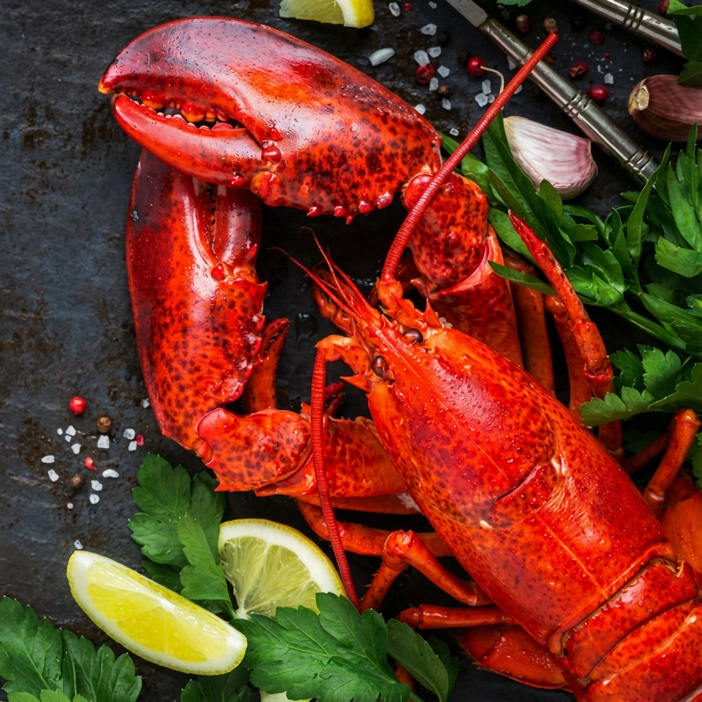 Premium Whole Lobster – Foodservice Grade for Fine Dining