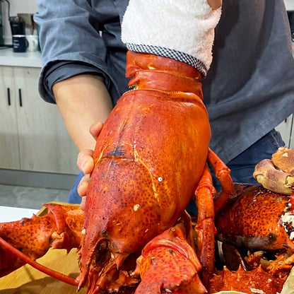 Whole Cooked Boston Lobster | 8 lb Giant Atlantic Lobster | Fully Cooked & Flash Frozen