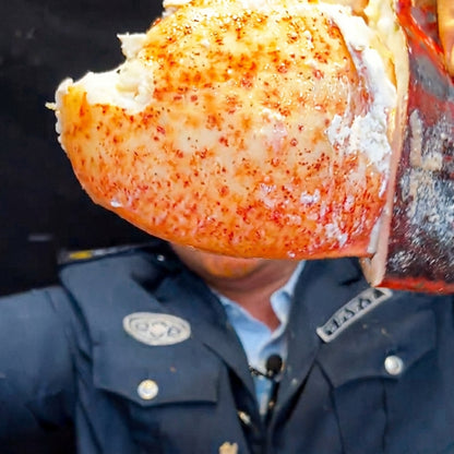 Whole Cooked Boston Lobster | 8 lb Giant Atlantic Lobster | Fully Cooked & Flash Frozen