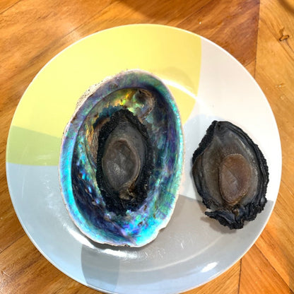 Black Gold Abalone (Whole in Shell) – Premium Foodservice Grade