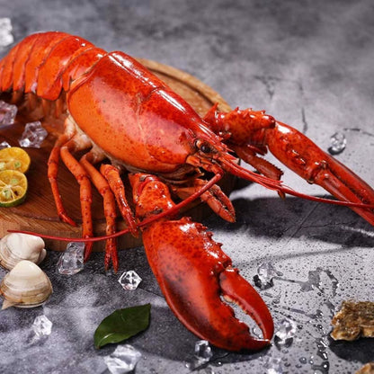 Premium Whole Lobster – Foodservice Grade for Fine Dining