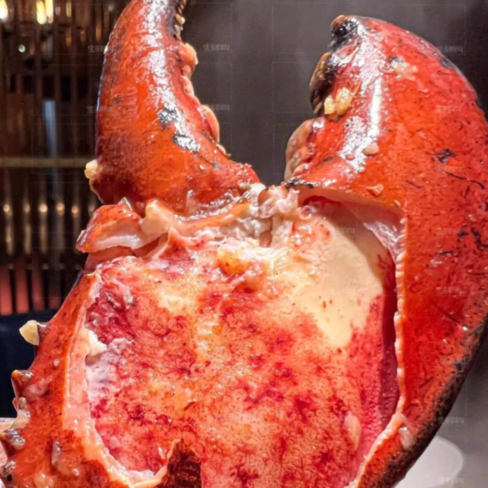 Whole Cooked Boston Lobster | 8 lb Giant Atlantic Lobster | Fully Cooked & Flash Frozen