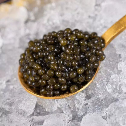 Premium Black Caviar (Sturgeon Caviar) – Fine Texture & Luxury Taste