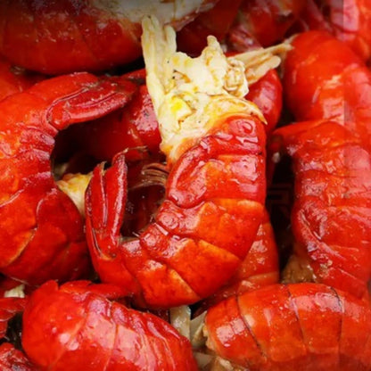 Premium Cooked Crawfish – Foodservice Grade Whole Crayfish